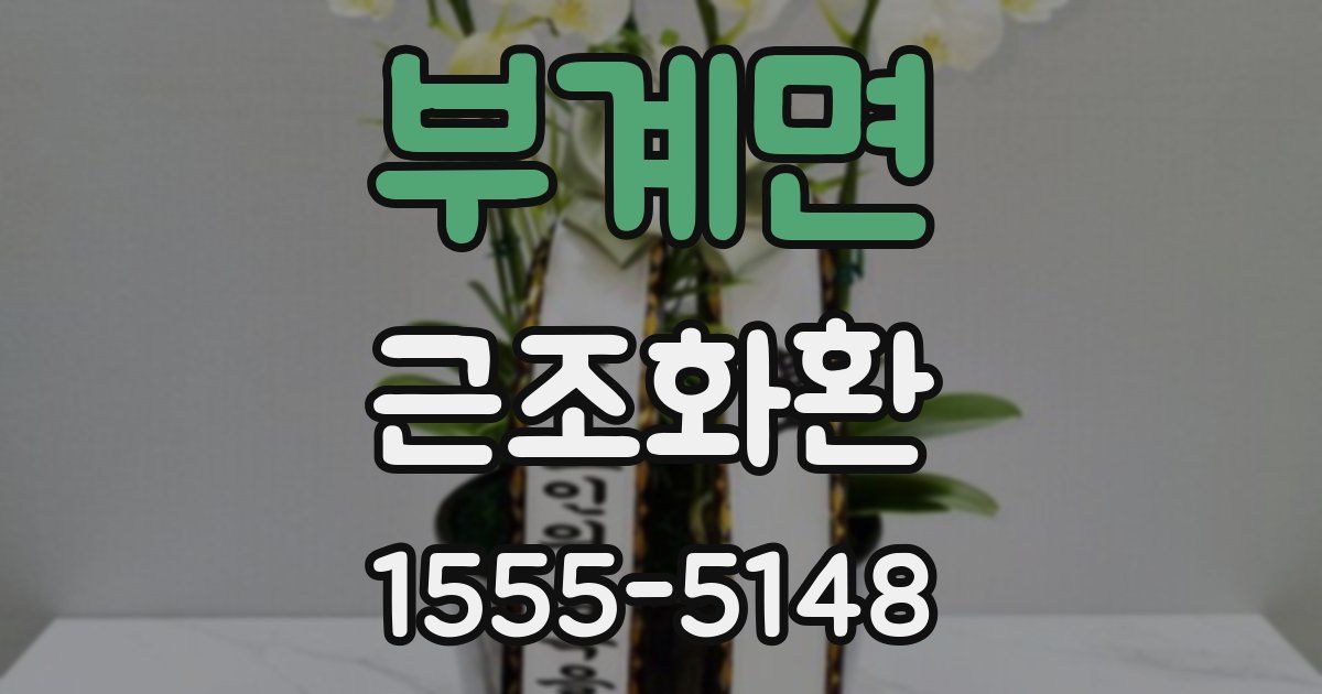 부계면 근조화환