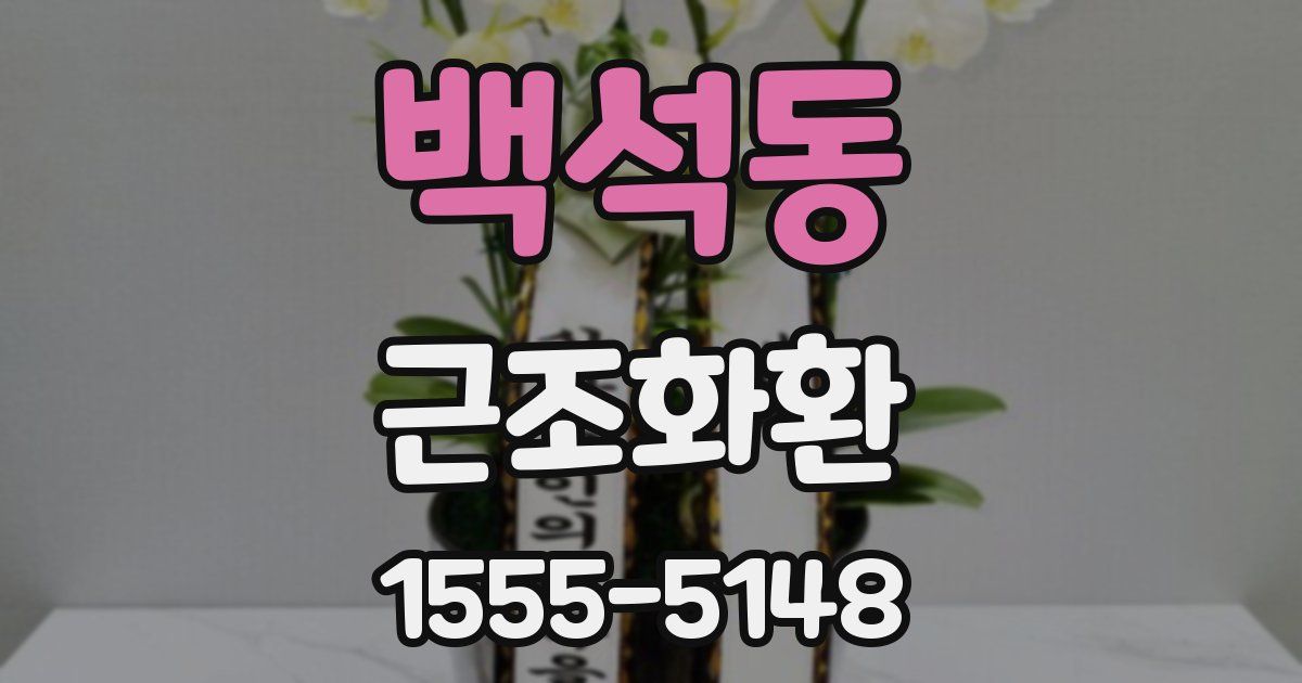 백석동 근조화환