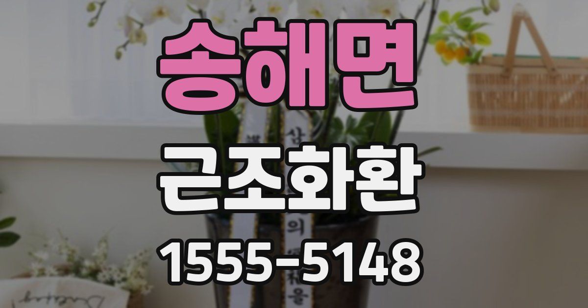 송해면 근조화환