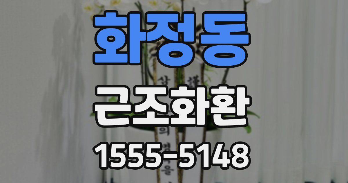 화정동 근조화환