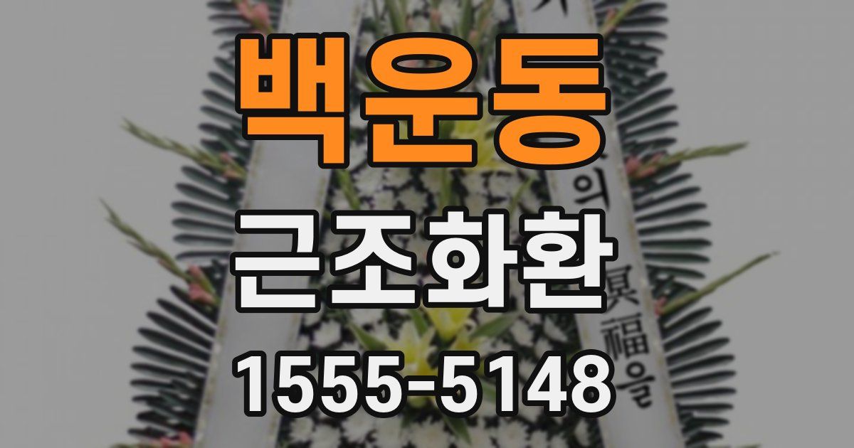 백운동 근조화환
