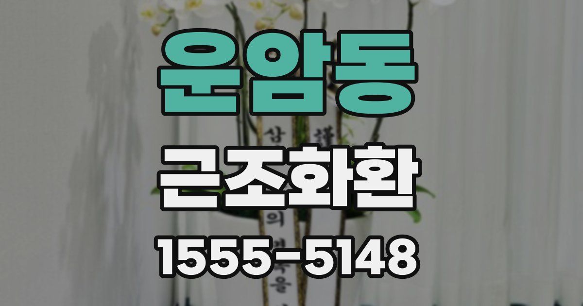 운암동 근조화환