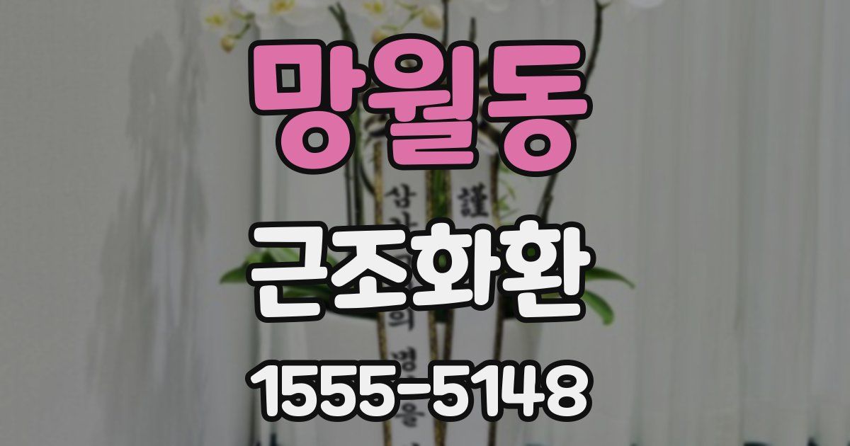 망월동 근조화환