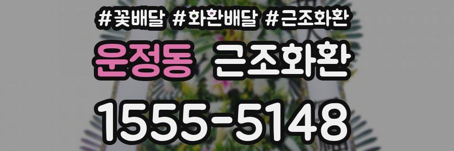 운정동 근조화환