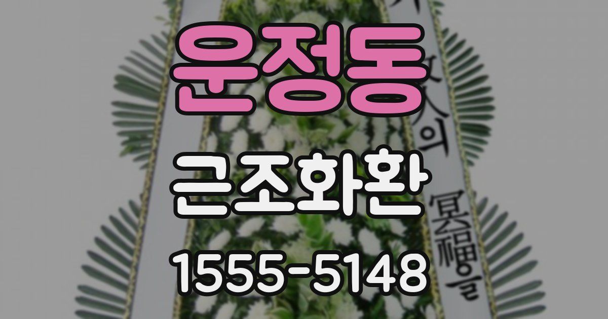 운정동 근조화환