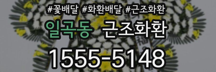 일곡동 근조화환