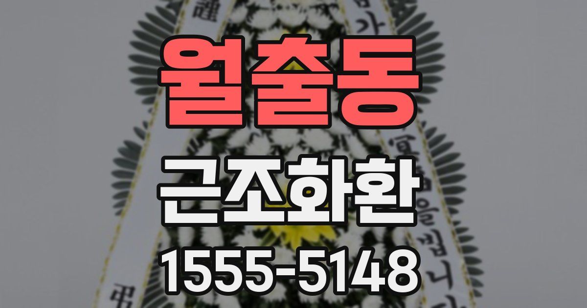 월출동 근조화환