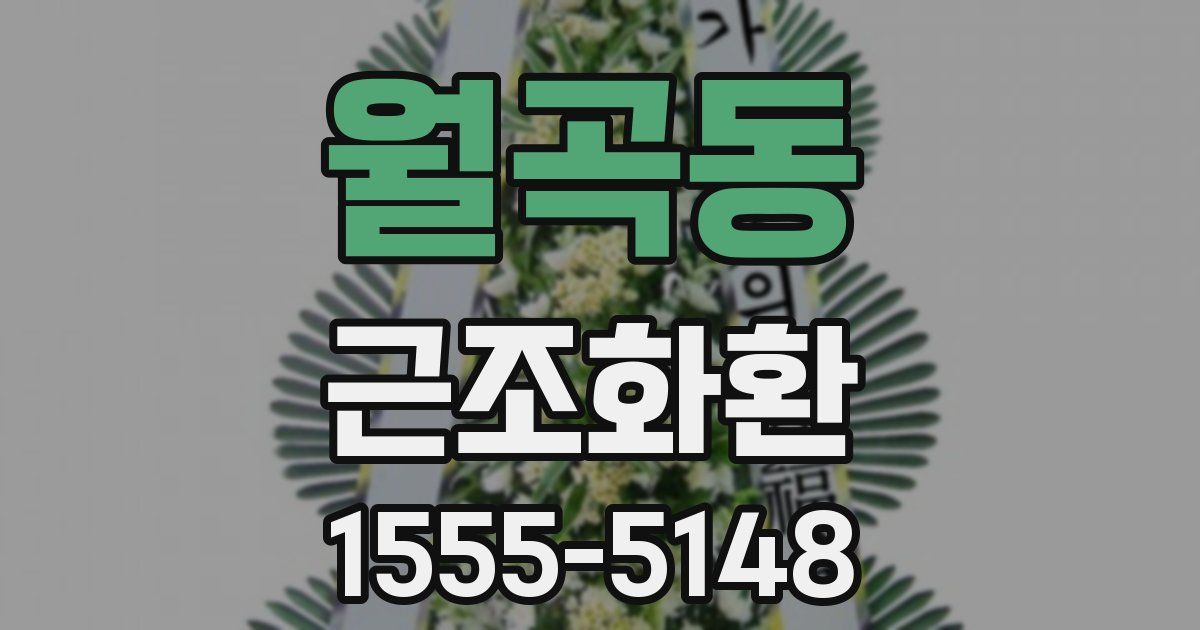 월곡동 근조화환