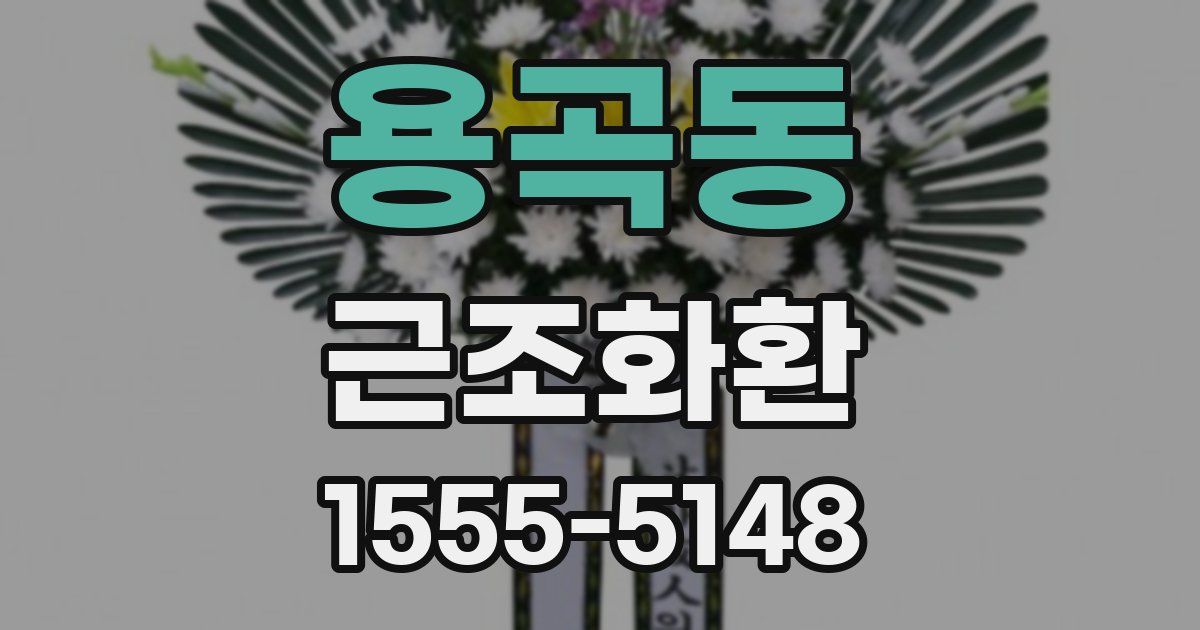 용곡동 근조화환