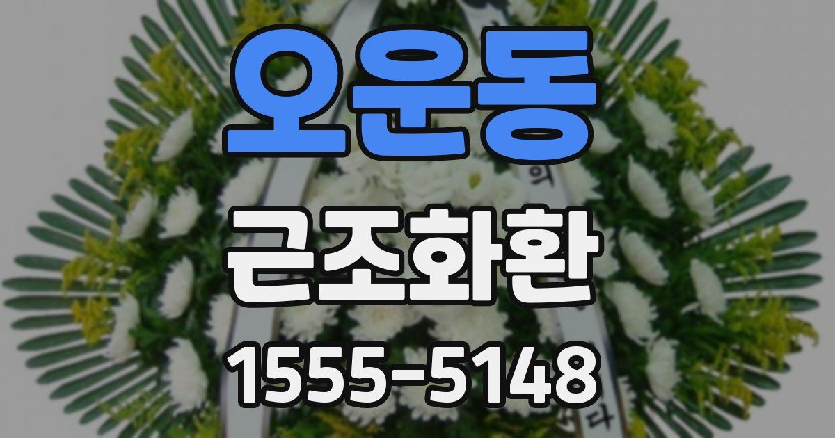 오운동 근조화환
