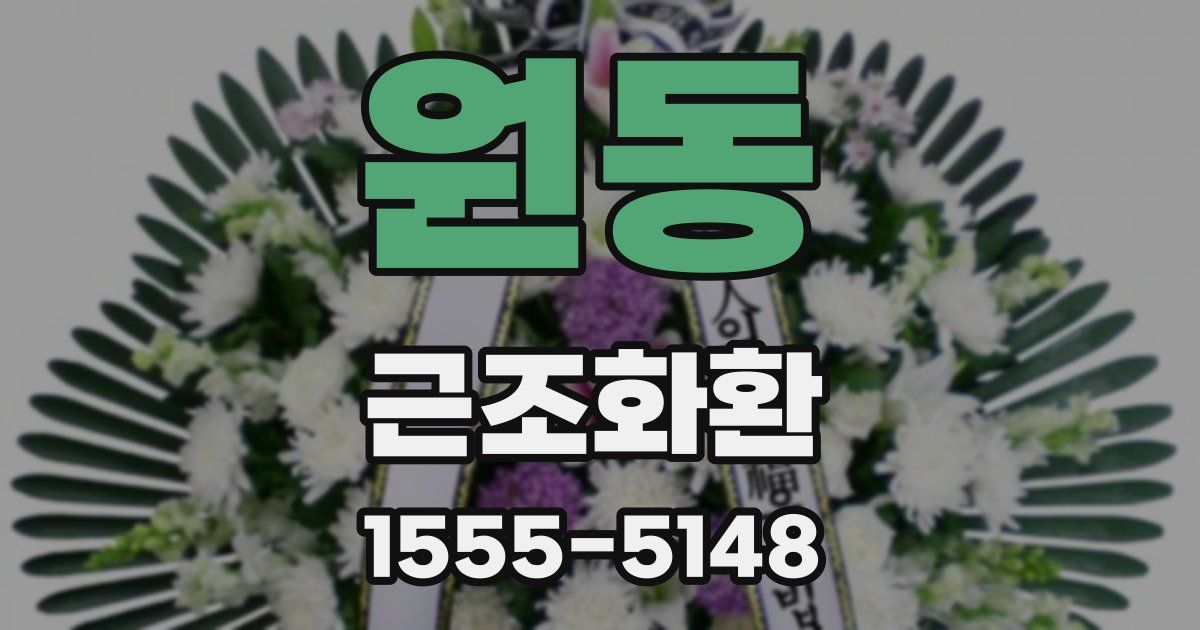 원동 근조화환