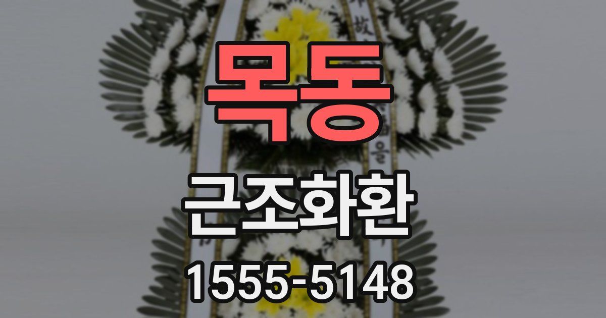 목동 근조화환