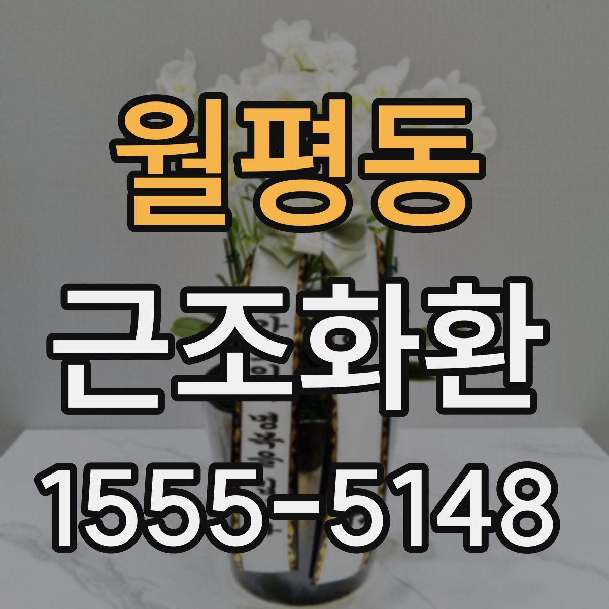 월평동 근조화환