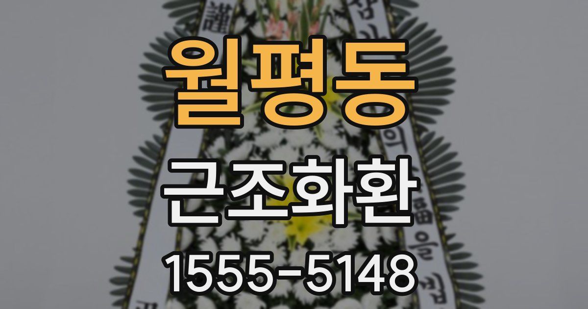 월평동 근조화환