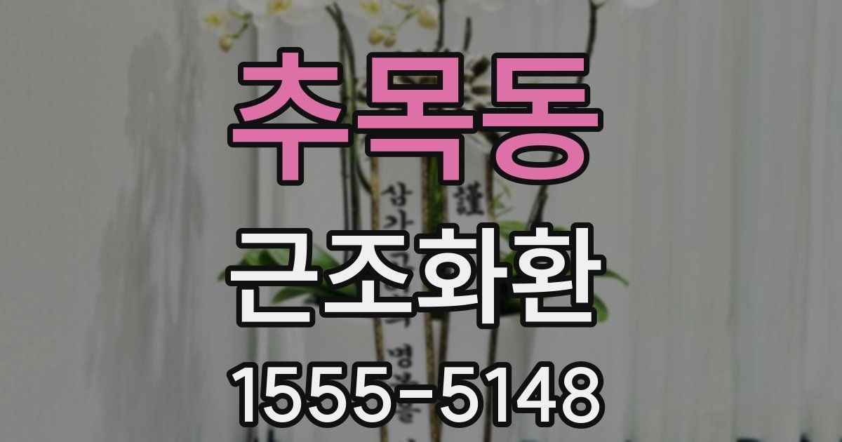 추목동 근조화환