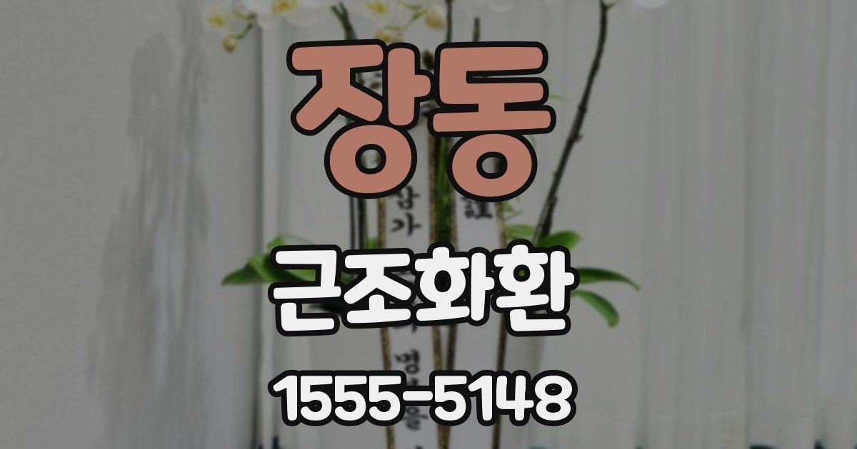 장동 근조화환