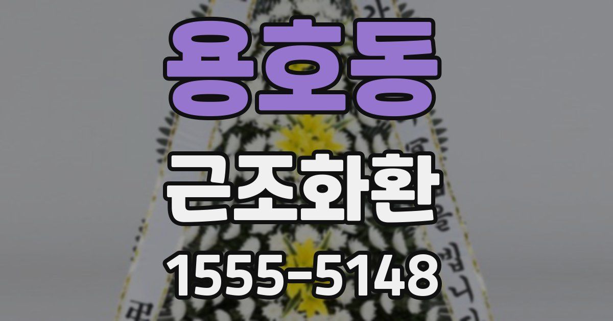 용호동 근조화환