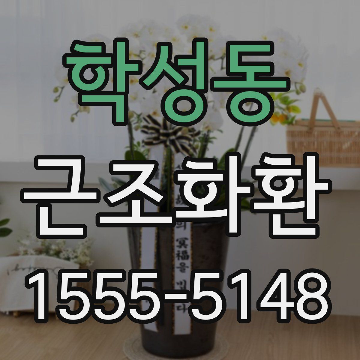 학성동 근조화환
