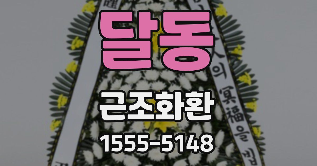 달동 근조화환