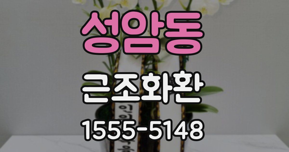 성암동 근조화환