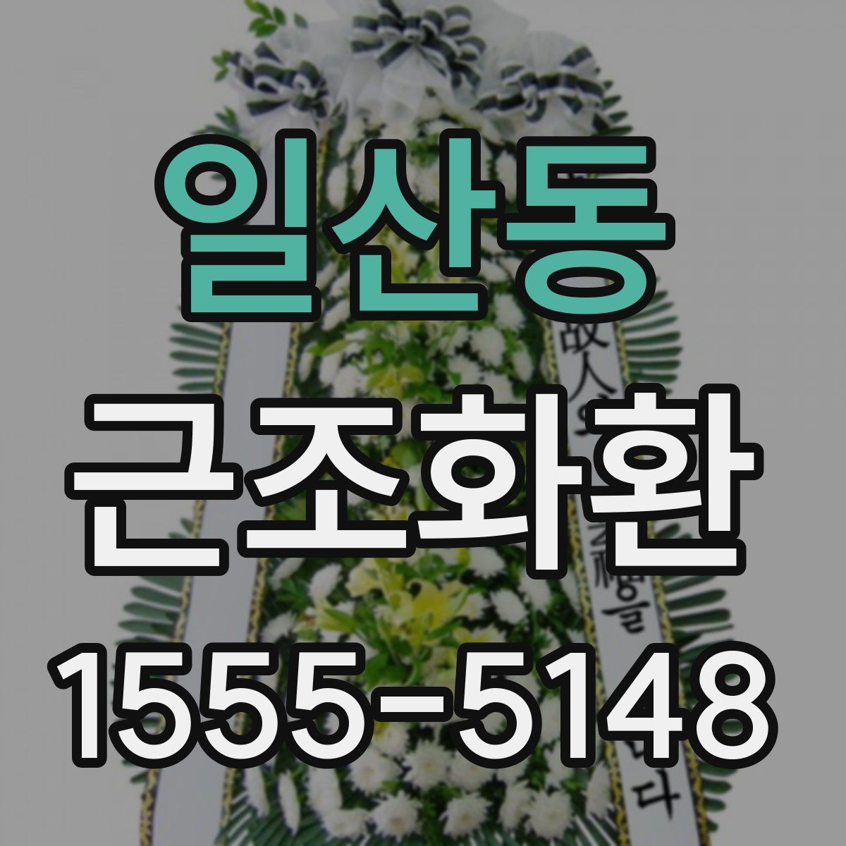 일산동 근조화환
