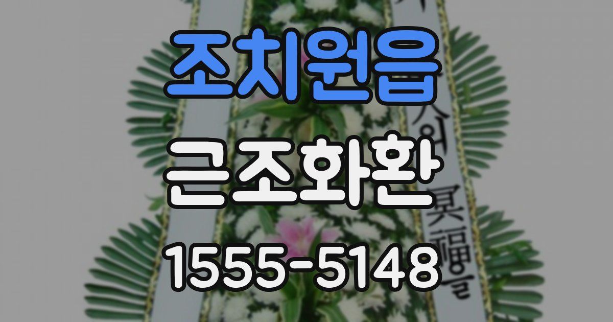 조치원읍 근조화환