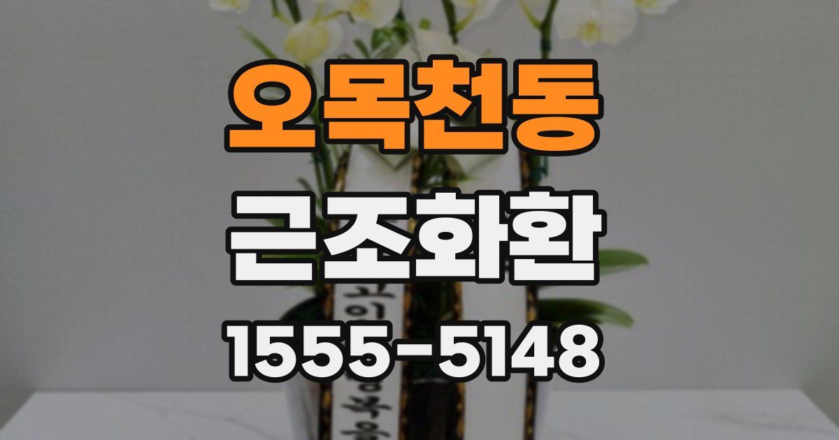 오목천동 근조화환