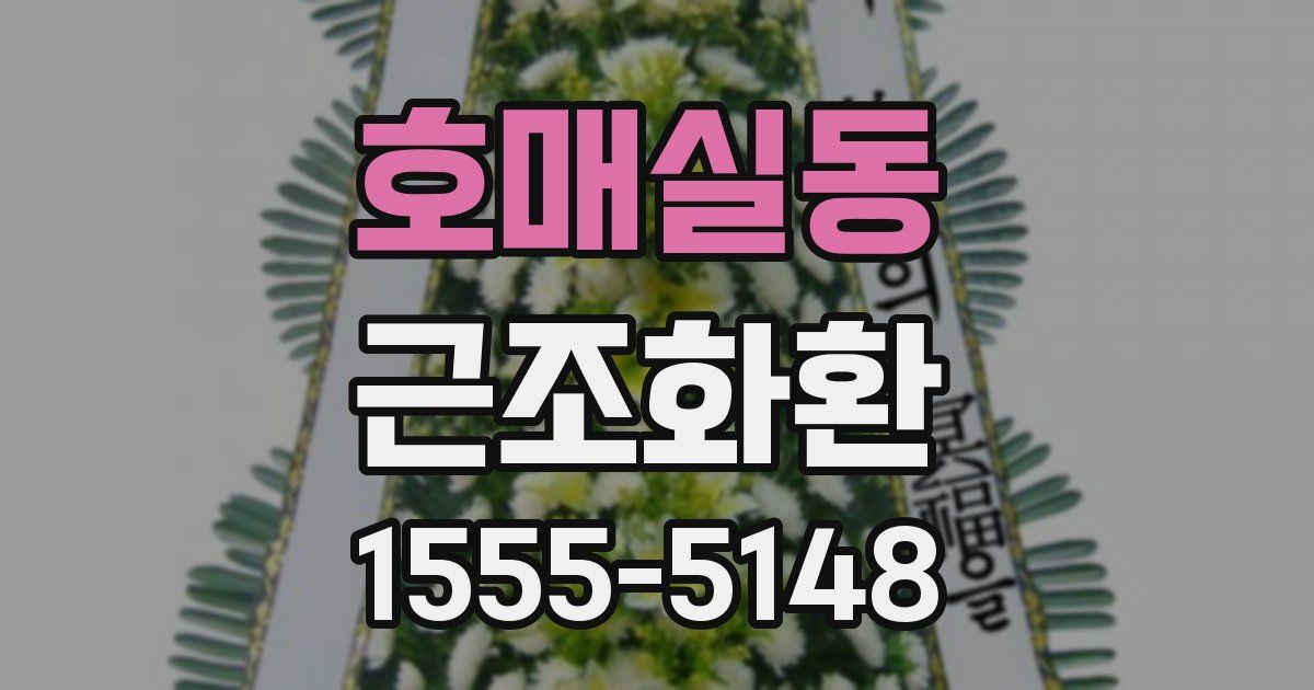 호매실동 근조화환