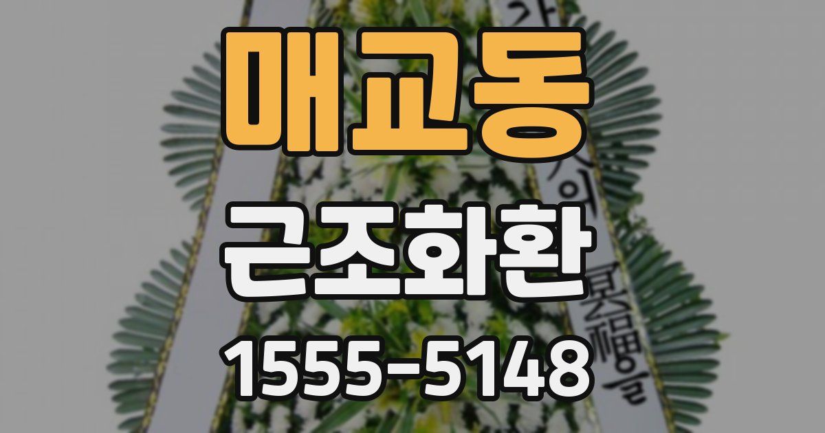 매교동 근조화환