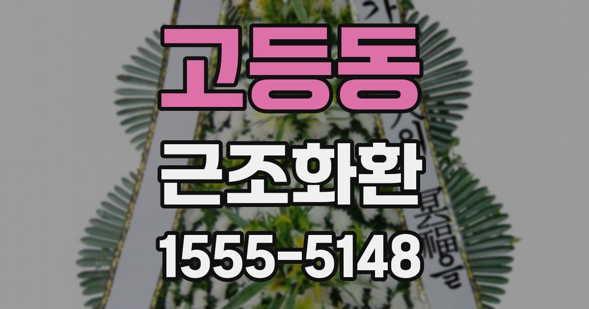 고등동 근조화환