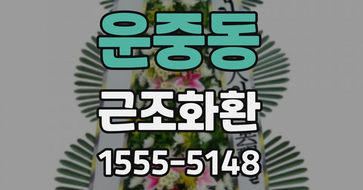 운중동 근조화환
