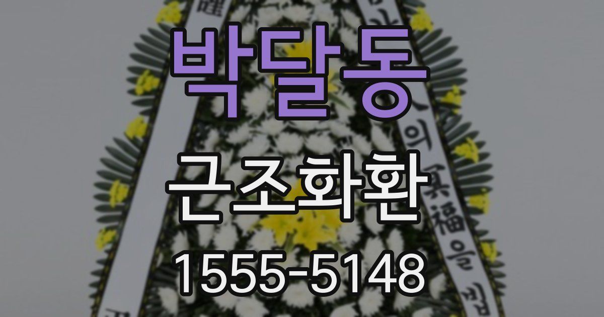 박달동 근조화환