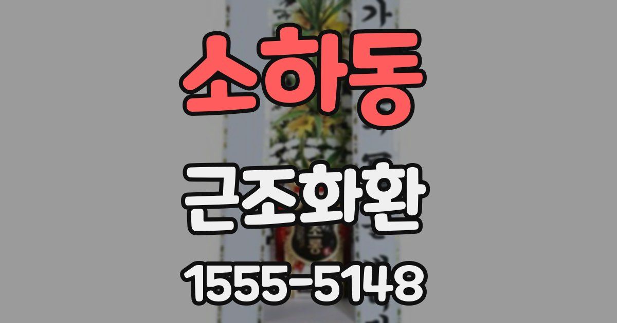 소하동 근조화환