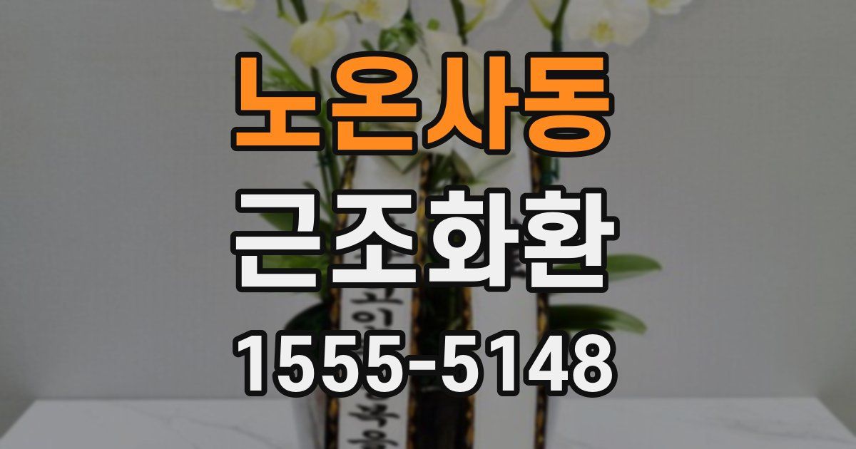 노온사동 근조화환