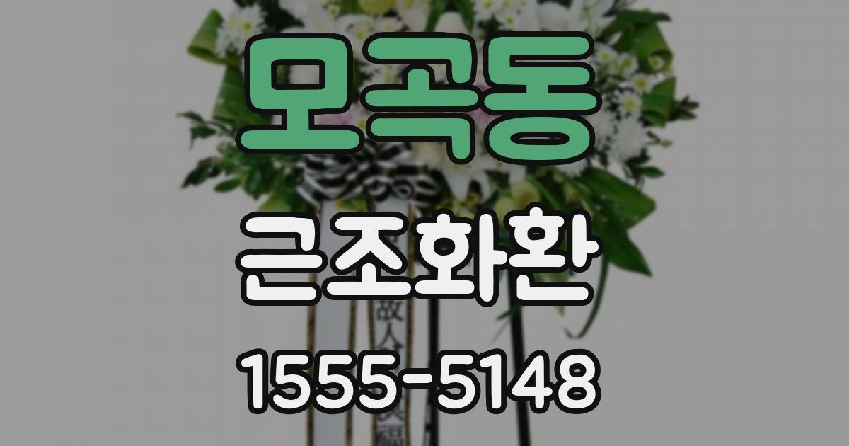 모곡동 근조화환