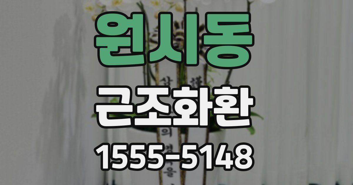 원시동 근조화환