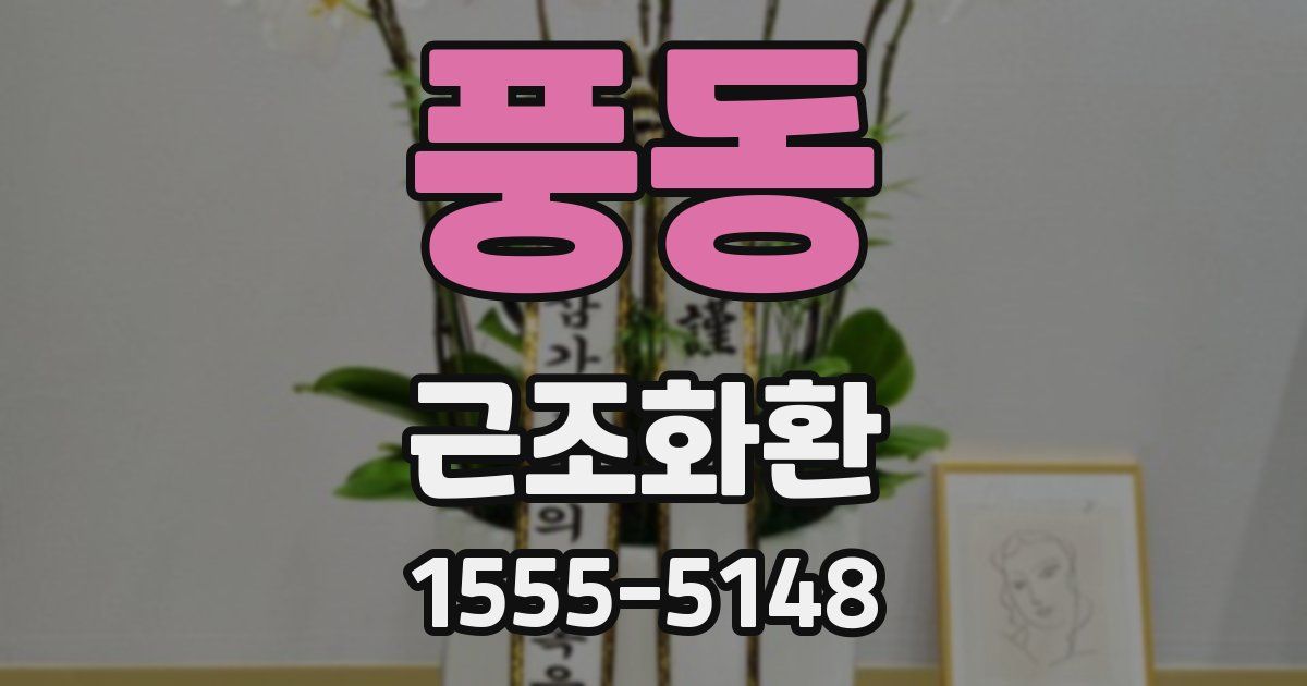 풍동 근조화환