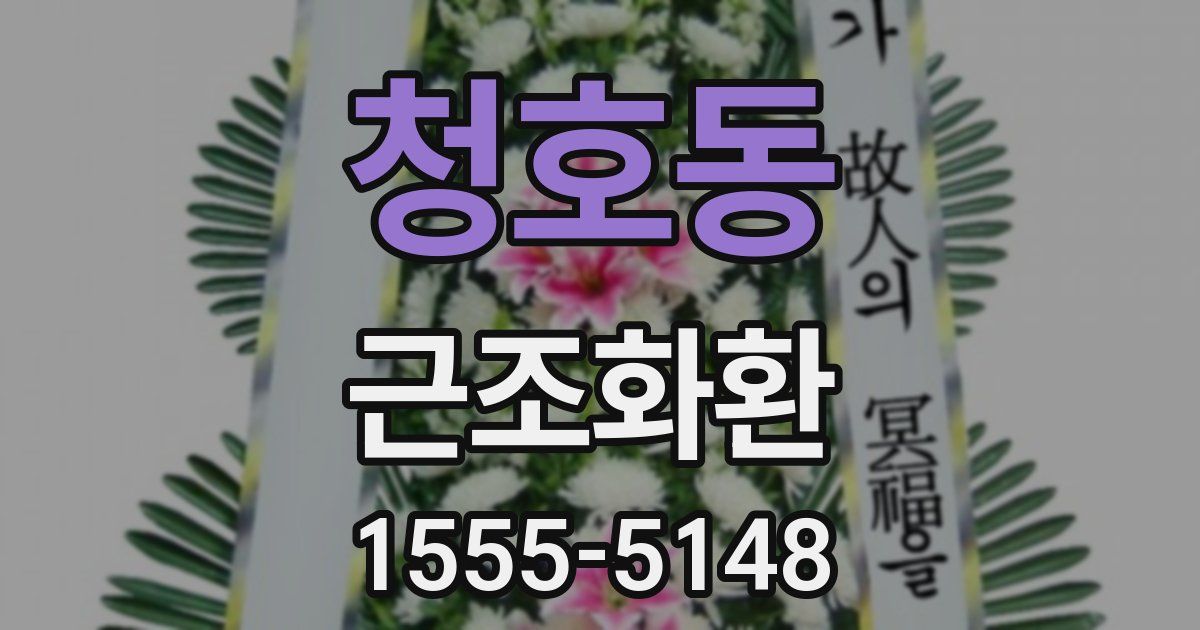 청호동 근조화환
