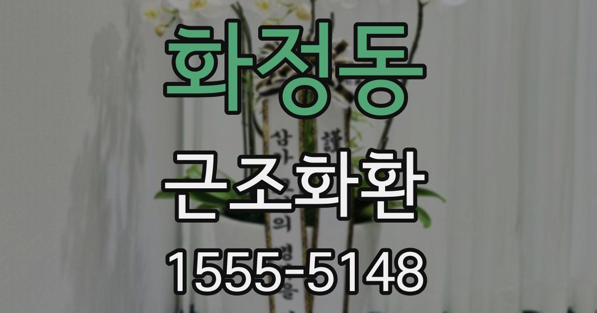 화정동 근조화환
