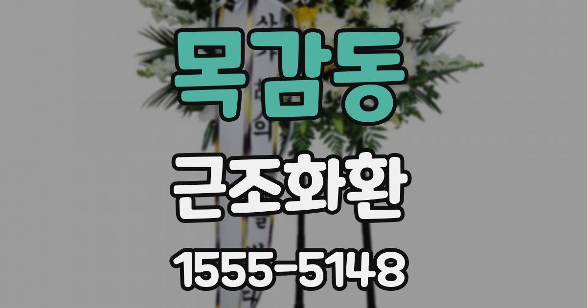목감동 근조화환
