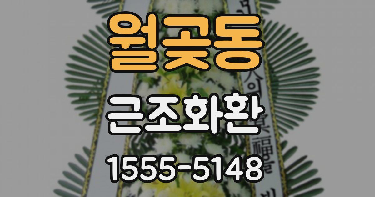 월곶동 근조화환
