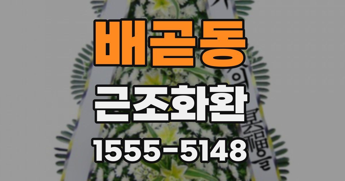 배곧동 근조화환