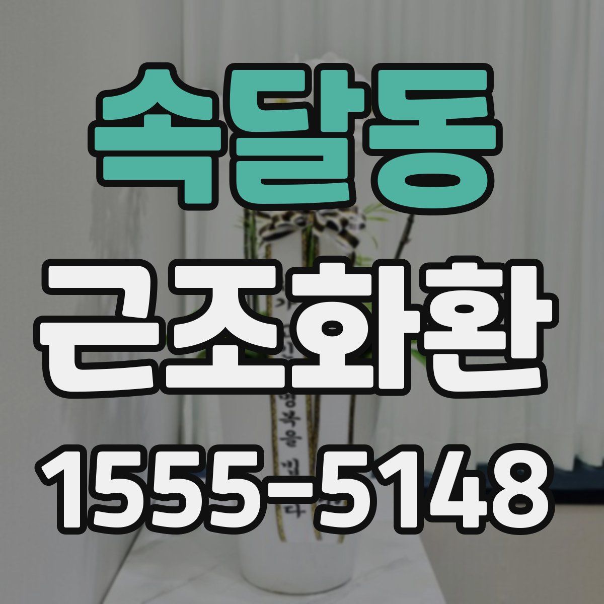 속달동 근조화환