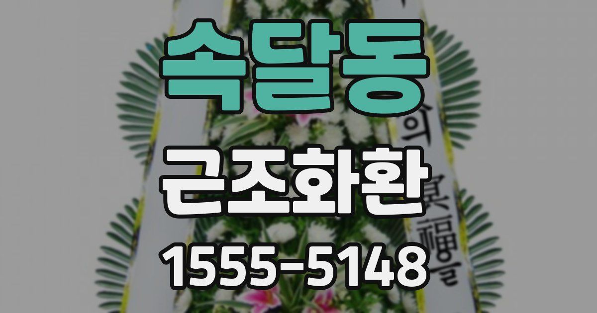 속달동 근조화환