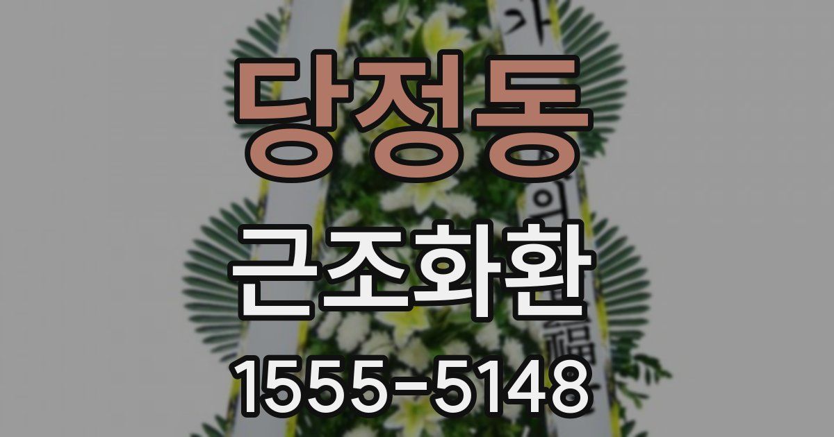 당정동 근조화환