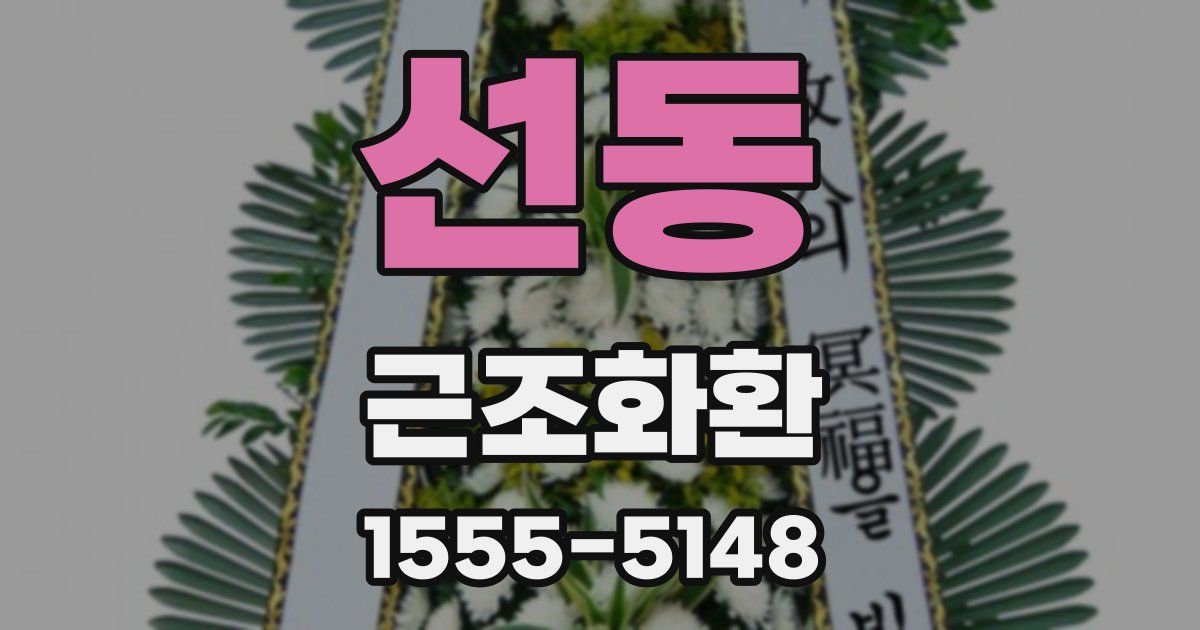 선동 근조화환