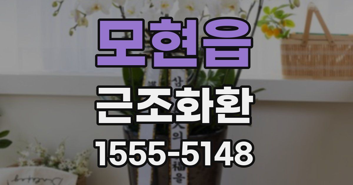 모현읍 근조화환