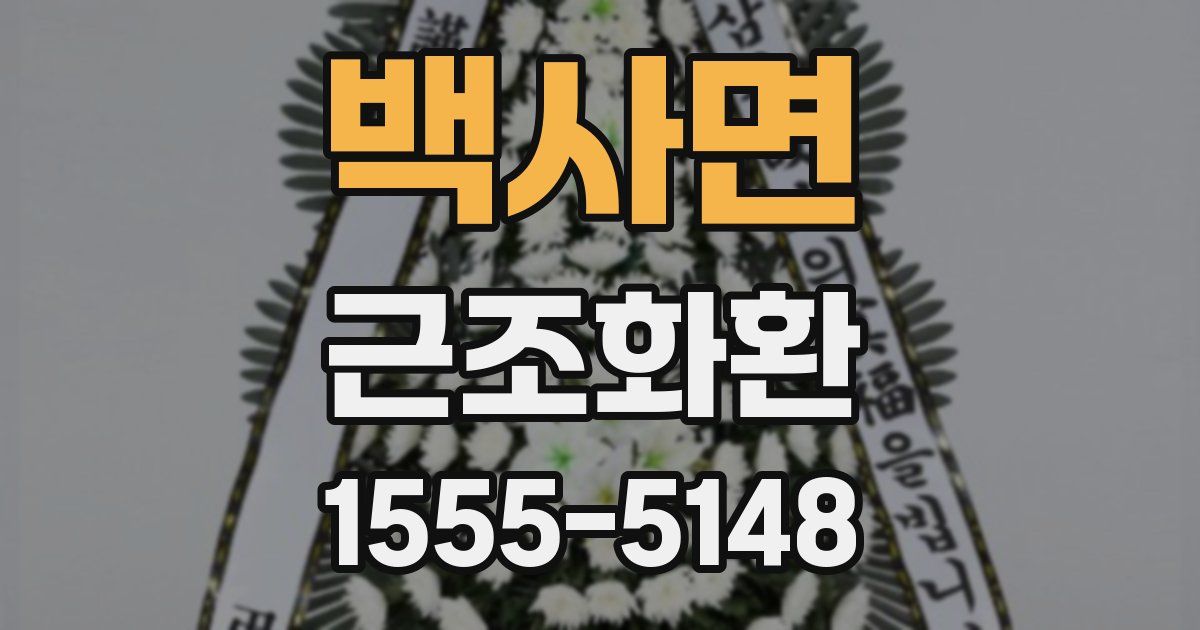 백사면 근조화환