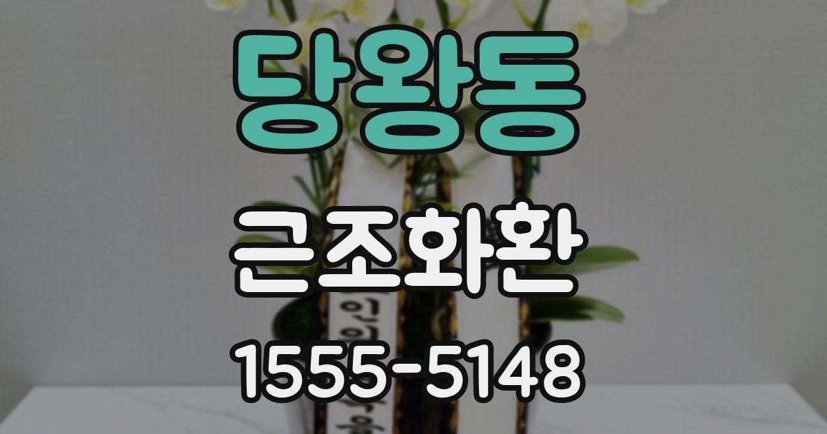 당왕동 근조화환