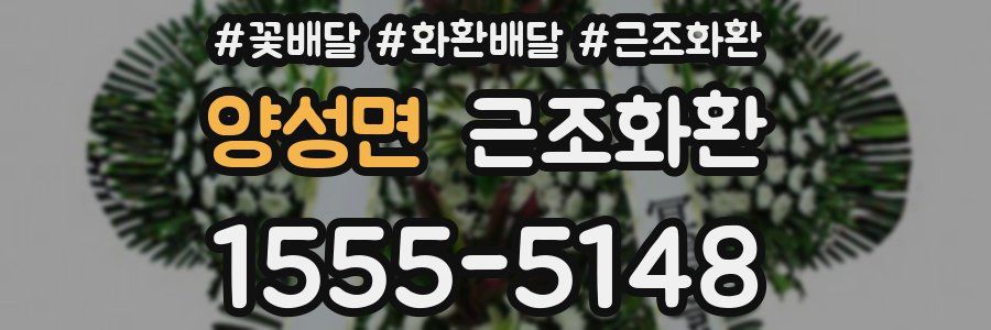 양성면 근조화환